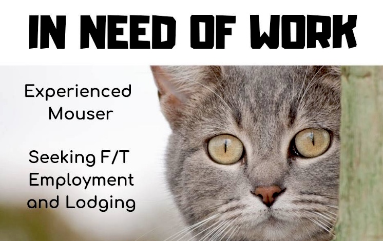 C96C87C7-D2D5-4B6A-BDBA-41CE58C0900E cats2work 24-7 pest deterrent